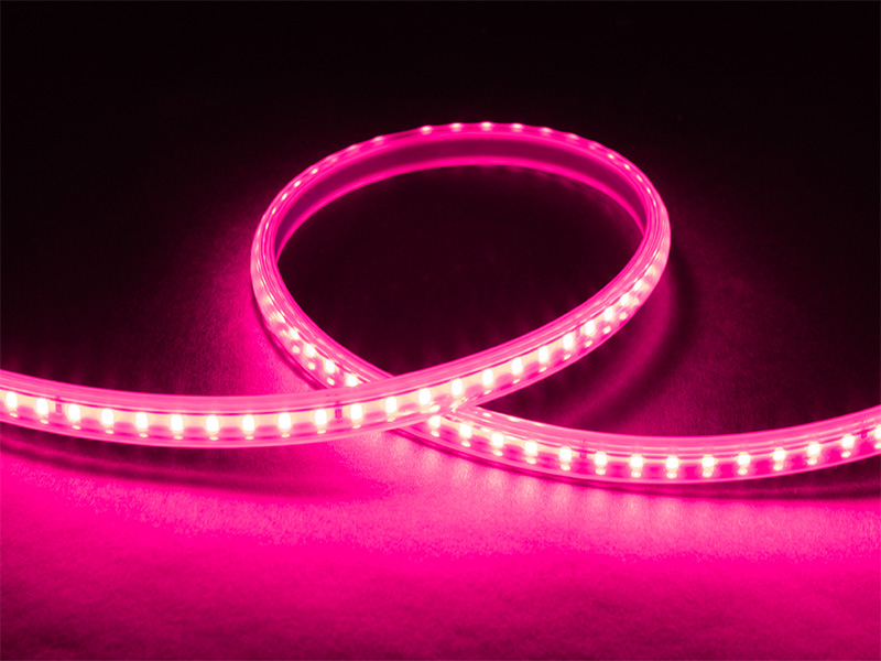 FITA LED TECHCORD 5W 60 LEDS/M 5M 220V IP65 ROSA