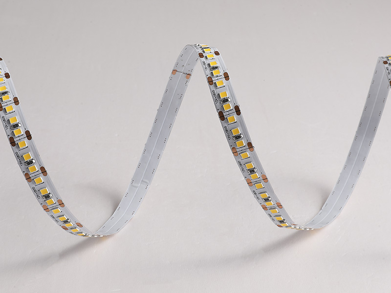 FITA LED PRO 15W 180LEDS/M 5M 12V IP20 6500K