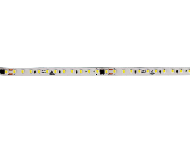 FITA LED TECHFREE 12W 120LEDS/M 5M 127V IP20 6500K